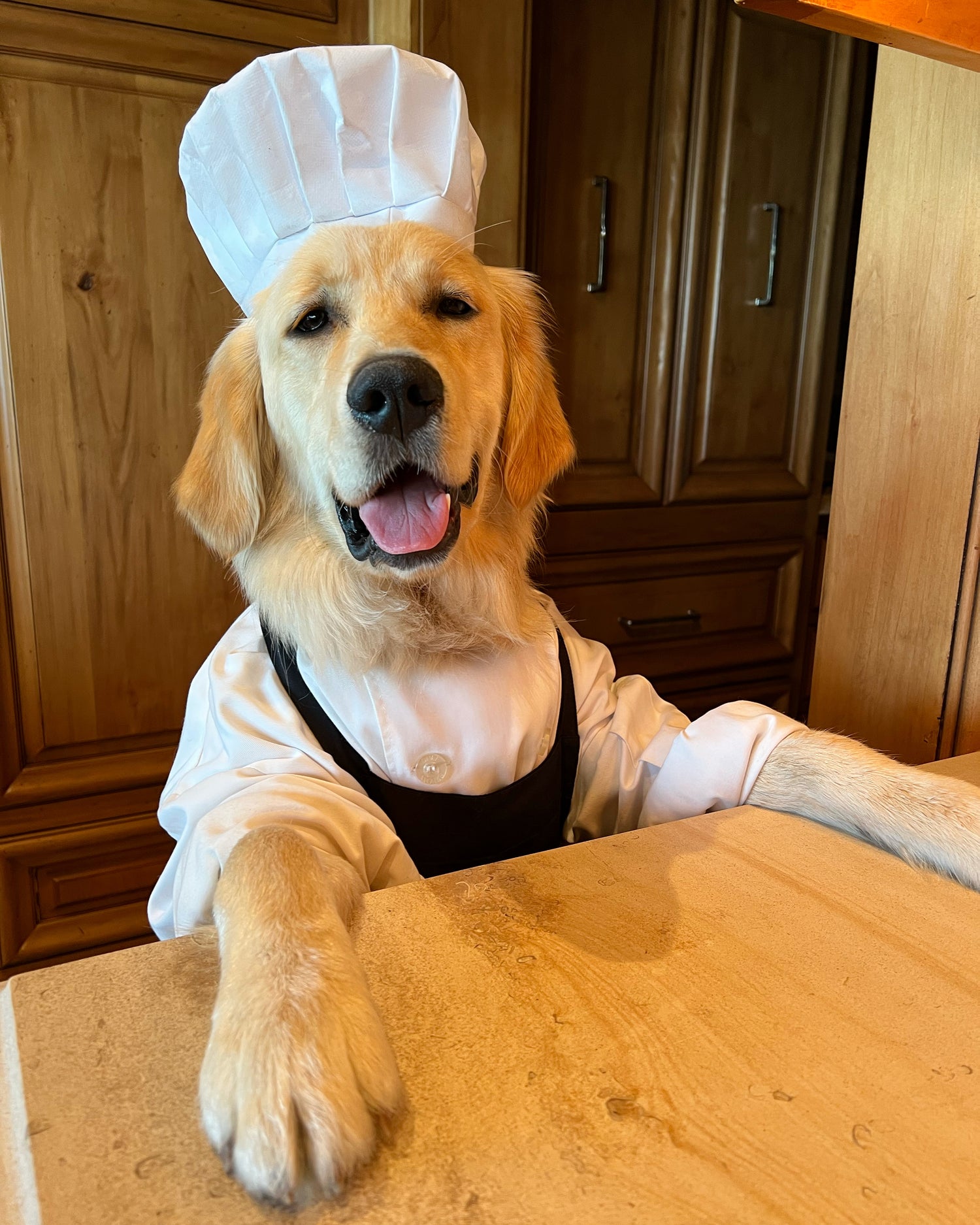 Cookingwithbadger
